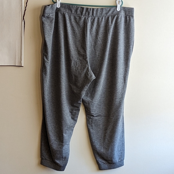 Grey JJill Drawstring Sweatpants - Picture 4 of 4